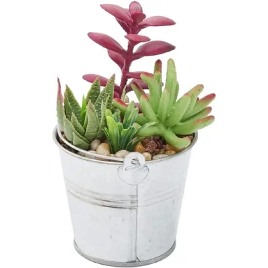 Juvale 4 Pack Artificial Succulents Plants, Faux Fake Cactus with Iron Bucket for Garden & Patio Decor, 6.5 in image {3}