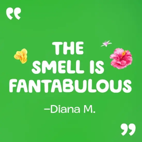 Gain Hibiscus Hula Happy HE Compatible Liquid Laundry Detergent Soap image {5}