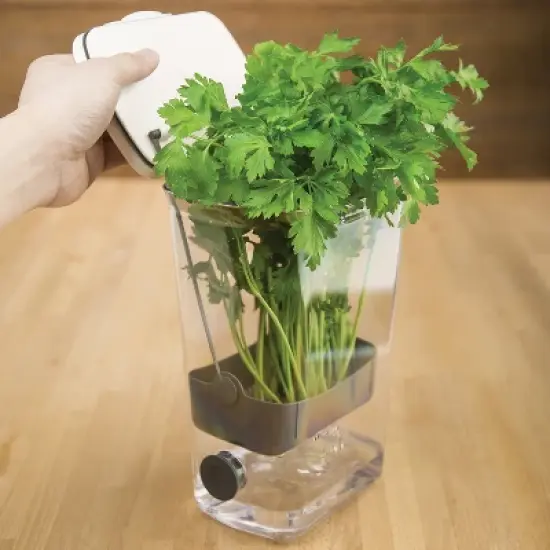 Progressive Prepworks BPA-Free Plastic Herb ProKeeper for Herbs, White image {2}