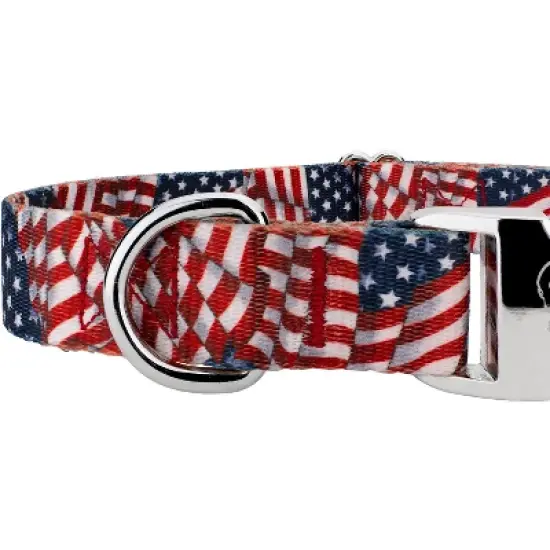 Country Brook Petz Premium Patriotic Tribute Collar and Leash image {5}