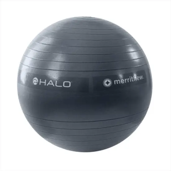 Merrithew Trainer Plus with Stability Ball and Pump image {3}