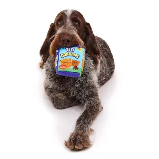 BARK Beg-n-Bag Large Box Dog Plush Toy Set - 5pc image {3}