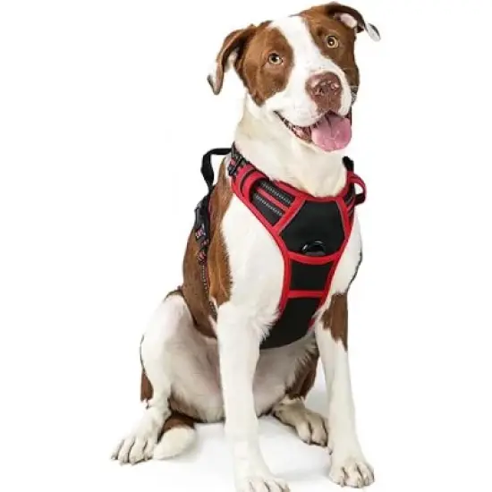 rabbitgoo Dog Harness No Pull with 2 Leash Clips, Control Handle for Large Dogs, Black & Red, L image {1}