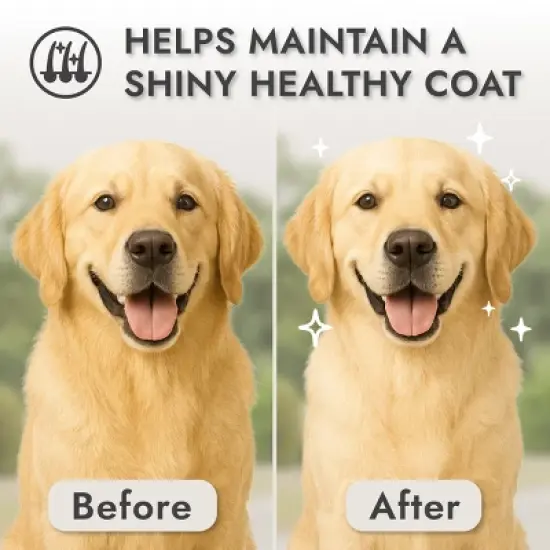 KONG Double-Sided Rake, Detangling and Deshedding Dog Grooming Brush image {4}