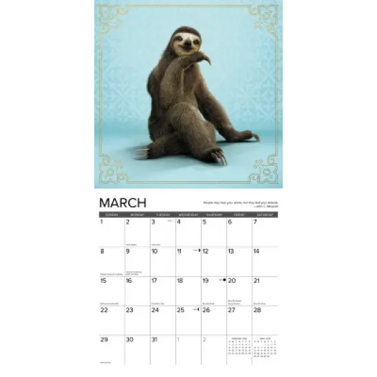 Willow Creek Press 2026 Sloth Yoga Wall Calendar image {2}