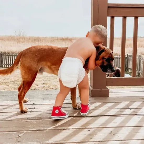 Believe Baby Premium Soft Hypoallergenic Disposable Diapers - Size 6 - 34ct image {3}