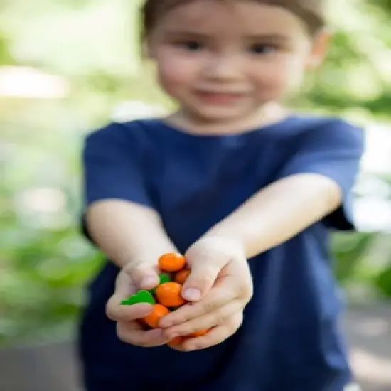 Plantoys| Solitaire image {3}