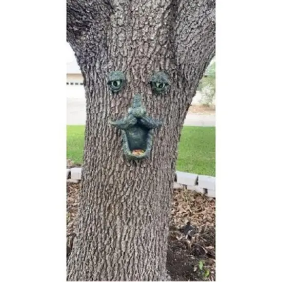 Fun Express Birdfeeder Tree Face Glow in the Dark Home Decor - 3 Pieces image {6}