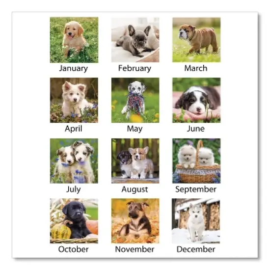 Puppies Monthly Desk Pad Calendar, Puppies Photography, 22 x 17, White Sheets, Clear Corners, 12-Month (Jan to Dec): 2026 image {2}