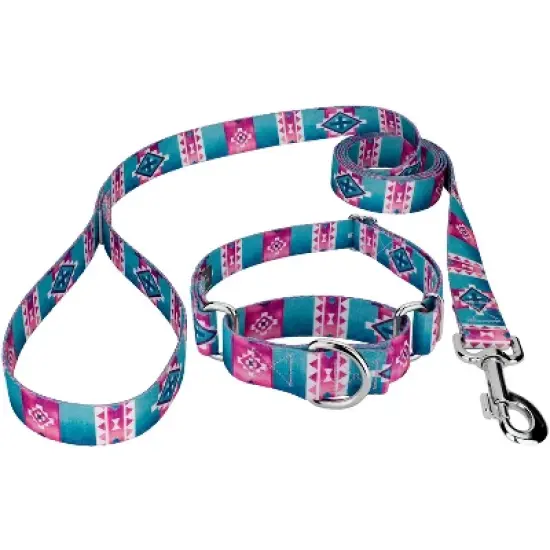 Country Brook Petz Albuquerque Martingale Dog Collar and Leash image {4}
