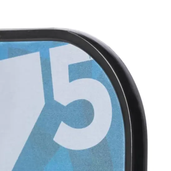 Onix Z5 Mod Series Graphite Pickleball Paddle image {4}