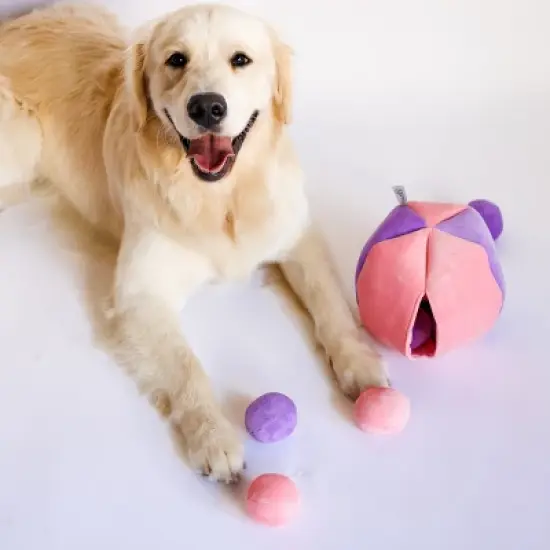 Midlee Hide a Ball Dog Toy - Pink/Purple image {3}
