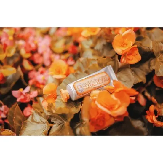 Marvis Toothpaste (Ginger Mint) - 4.5 oz FULL SIZE | Tooth paste w/ mint to create a subtly spicy effect | Removes teeth plaque and tartar image {1}