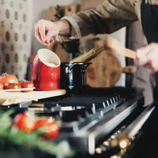 Emile Henry Made in France The Salt Pig image {4}