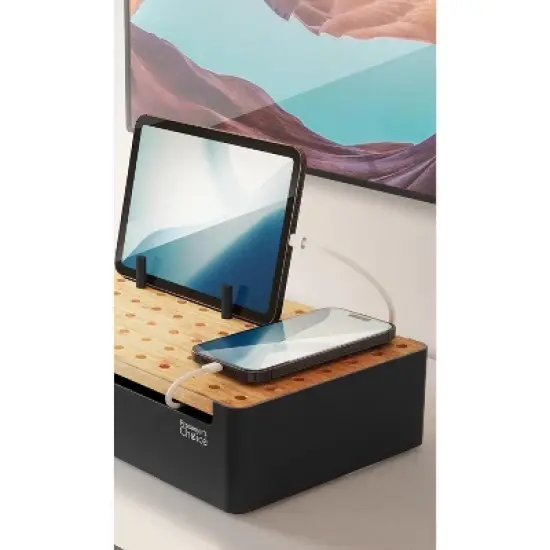 Prosumer's Choice Bamboo Charging Station - Black image {1}