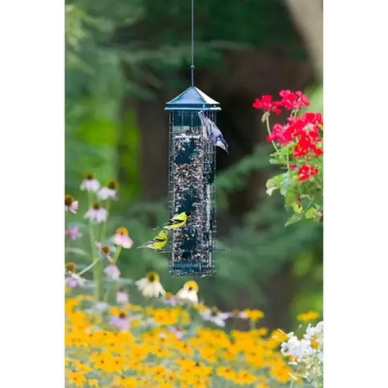 Brome Squirrel Solution 200 Squirrel Proof Bird Feeder image {2}