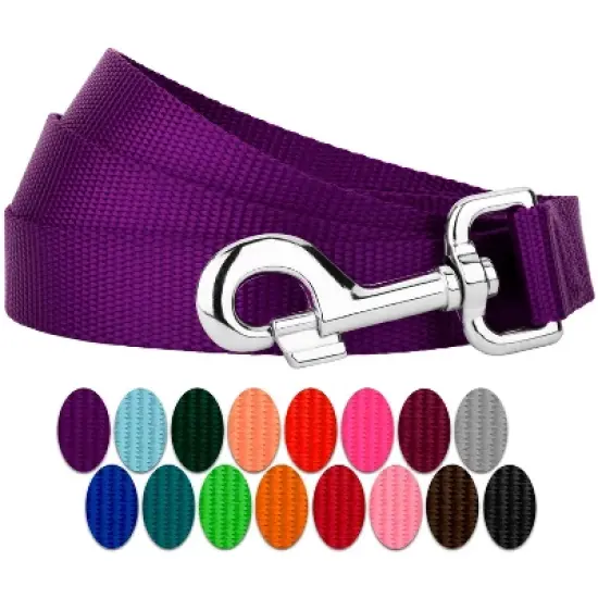 Country Brook Petz 6ft By 3/4 Inch Heavyduty Doublehandle Nylon Leash image {19}