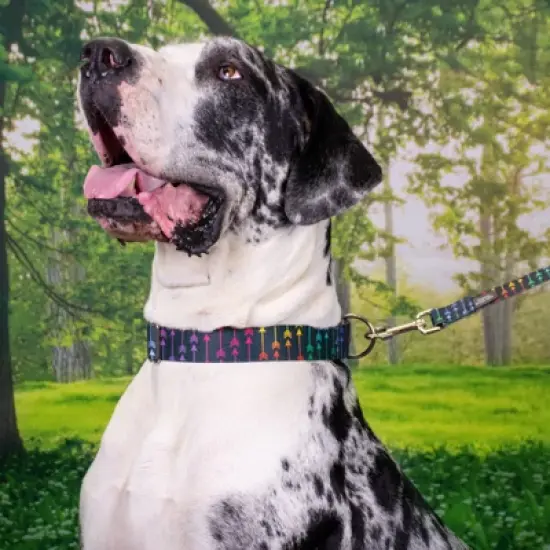 Country Brook Petz Martingale Dog Collar - Chevron and Arrows Collection image {2}