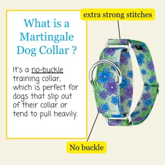 Country Brook Petz HossFit Jr Wide Martingale Dog Collar - Spring Collection image {2}