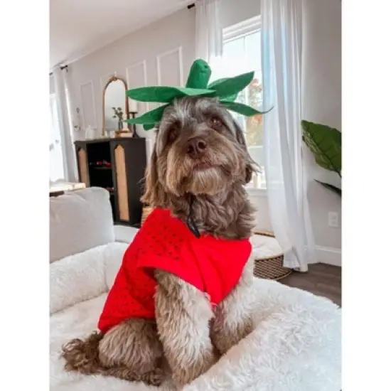 Midlee Strawberry Dog Costume image {4}