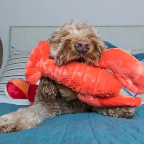 Fluff & Tuff Manny Lobster Dog Toy - 11" image {2}