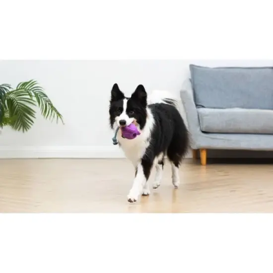 Arm & Hammer 3.34" Treadz Large Elephant Dog Rope Plush Toy - Purple image {4}