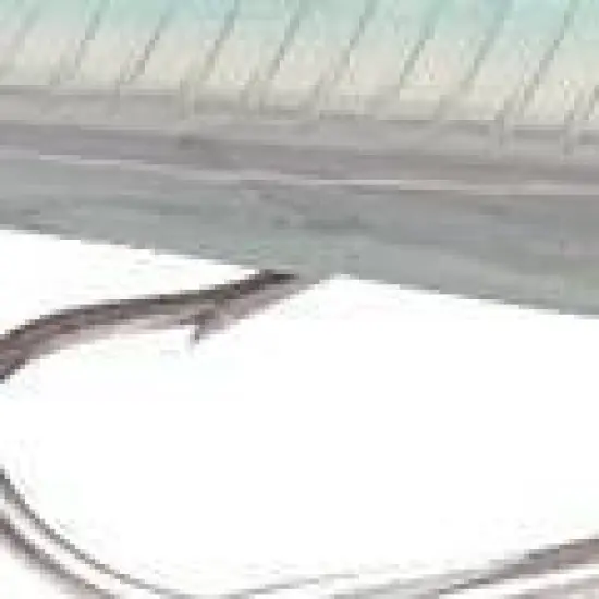 Rapala 3 1/8" X-Rap 8 Saltwater Fishing Lure image {2}