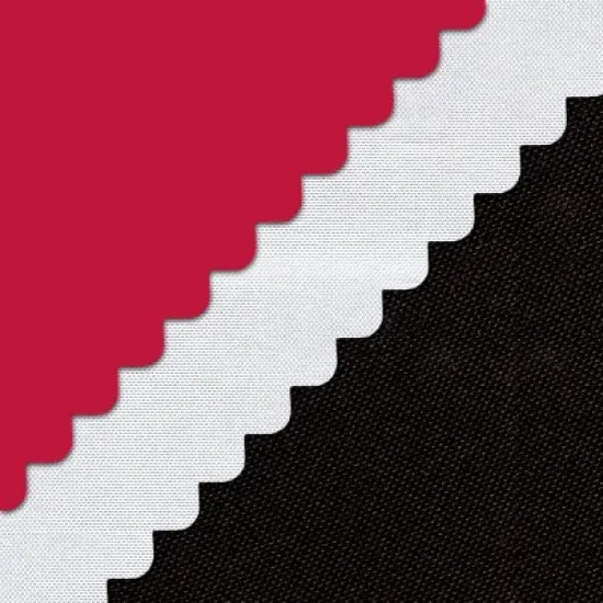 Baby Trend Hybrid Plus 3-in-1 Booster Car Seat - Wagon Red image {8}