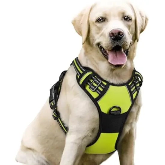 rabbitgoo Dog Harness No image {5}