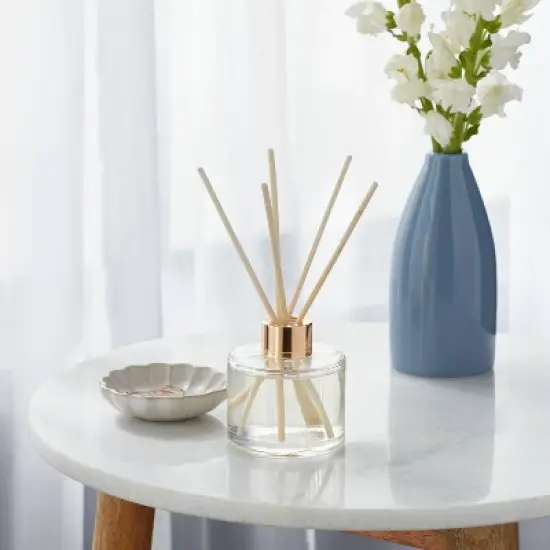 4oz Boxed Driftwood and Sea Salt Reed Diffuser - Threshold&trade; image {1}