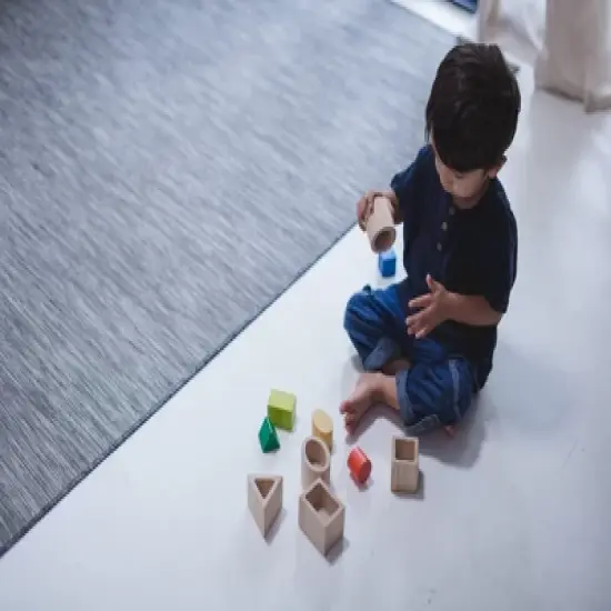 Plantoys| Geo Matching Blocks image {4}