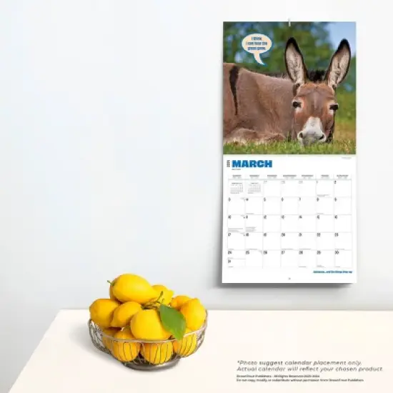 Browntrout 2024 Wall Calendar 12"x12" Jackasses image {3}