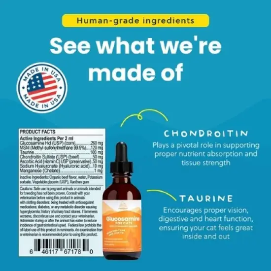 100% Natural Liquid Glucosamine Chondroitin W/ MSM for Cats, Hip & Joint Supplement for Senior Felines, Arthritis & Mobility Booster Glucosamine Drops image {3}