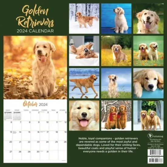 TF Publishing 2024 Wall Calendar 12"x12" Golden Retrievers image {4}