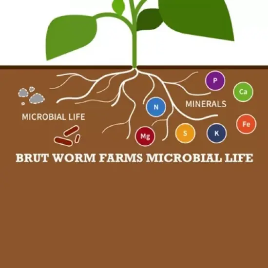 Brut Super Soil Complete Indoors Outdoors Rich Dark Healthy Natural Organic 21 Quart Non Toxic Odor Free All Purpose Soil with No Additives image {4}