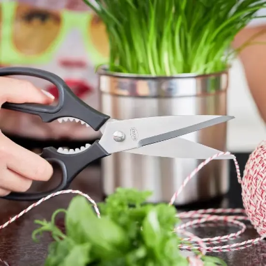 Rosle Stainless Steel Kitchen Scissors Shears, 8.7-Inch image {1}