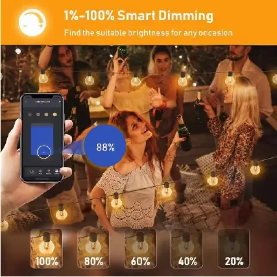 BlueAcorn Indoor/Outdoor Bluetooth LED Globe String Lights, 100ft image {1}