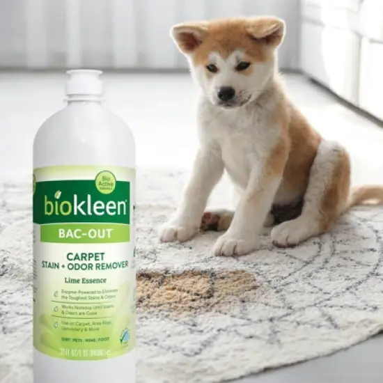 Biokleen Bac Out Stain & Odor Eliminator - 32 fl oz image {8}