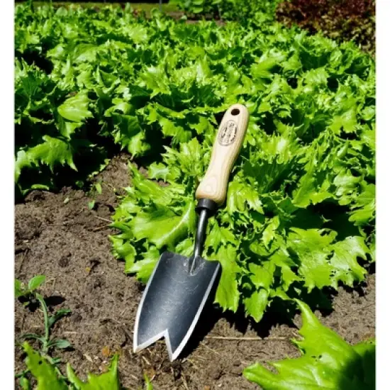 DeWit 2-Point Cutting Edge Trowel &ndash; Small, Lightweight & Powerful, 11.5&rdquo;L image {2}