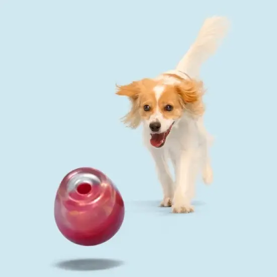 BARK Super Chewer Vino Vidi Vici Dog Treat Dispenser Toy image {2}