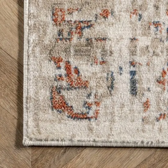 nuLOOM Niamh Distressed Motif Area Rug image {2}