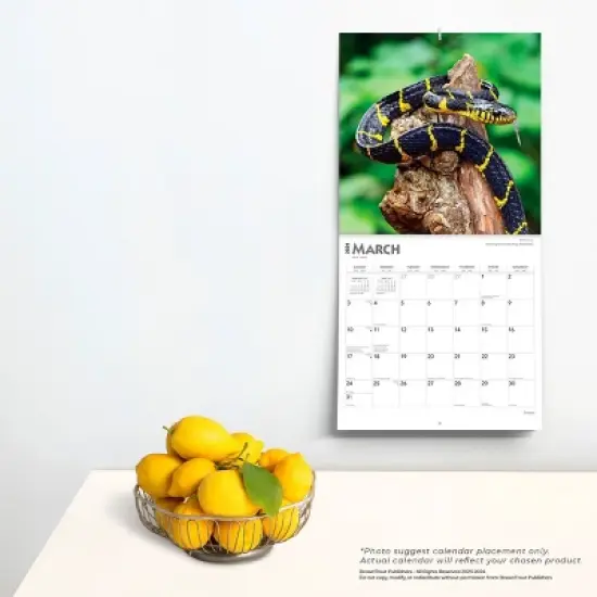 Browntrout 2024 Wall Calendar 12"x12" Snakes image {3}