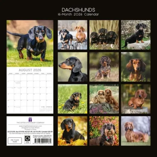 2026 Square Wall Calendar, Dachshunds, 16-Month Paw Prints Theme with 180 Reminder Stickers (12x12 In) image {3}