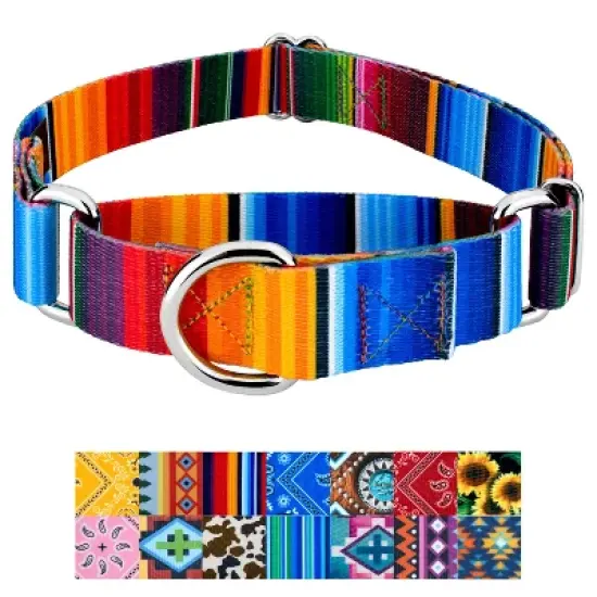 Country Brook Petz Martingale Dog Collar Country and Western Collection image {6}