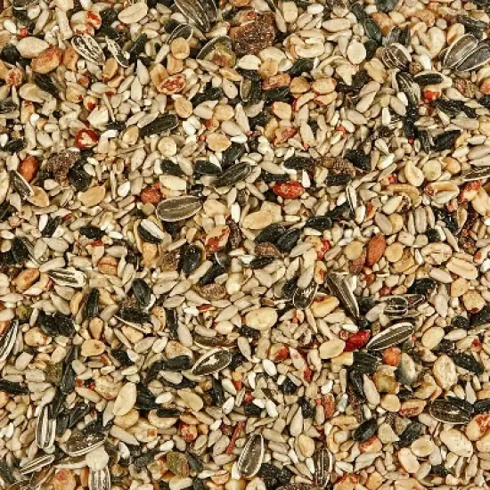 Kaytee Nut & Fruit Blend Dry Bird Food - 10lbs image {3}