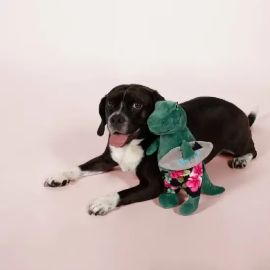 PetShop by Fringe Studio Surfer Bro Rex Dog Toy image {1}