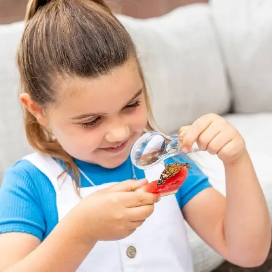 Educational Insights Geosafari Jr. Butterfly Bungalow image {1}