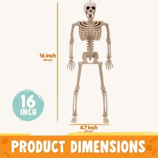 Joyfy 1/2/5/10 PCS 16" Posable Skeleton Halloween Decorative Props for Indoor/Outdoor Halloween Decorations Graveyard Haunted House Spooky Scene Party image {1}
