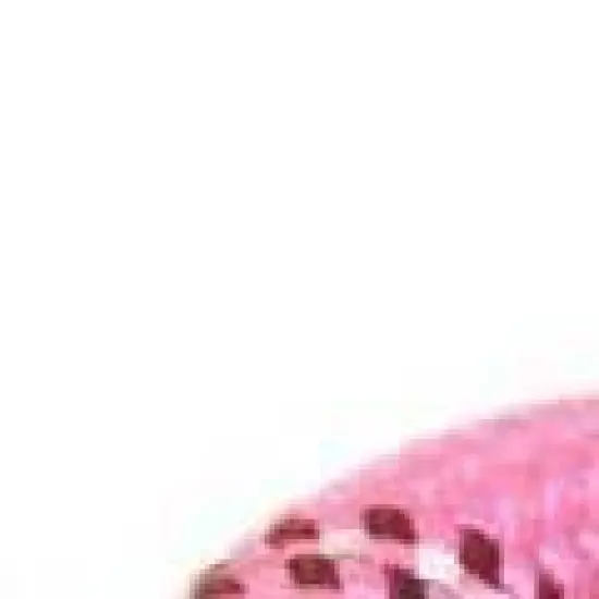 Doggy Tales Braided Rope Leash Pink image {2}