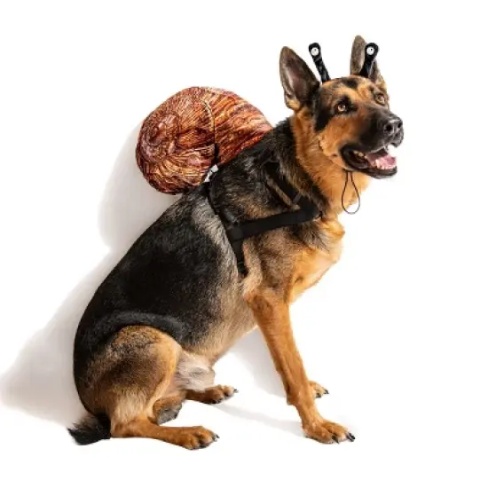 Midlee Snail Headband & Shell Dog Costume image {5}